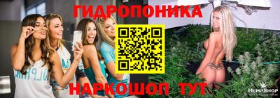 PSILOCYBIN Краснодар